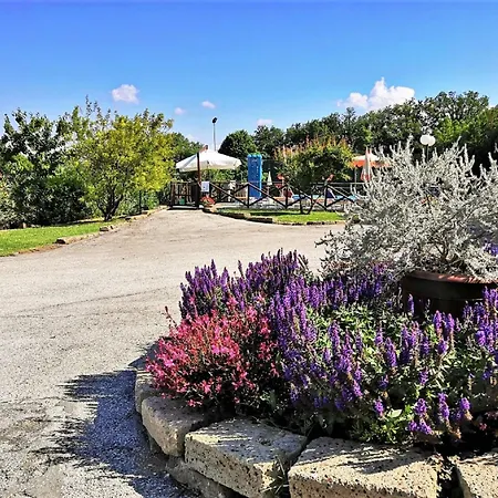 In Marche With Private Pool * Tavullia